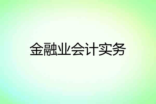 金融业会计实务
