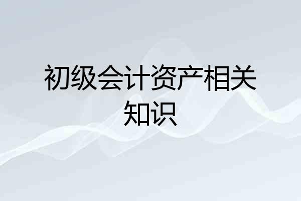 初级会计资产相关知识
