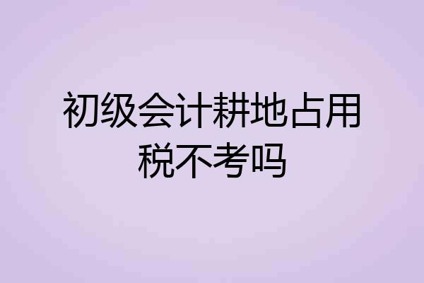 初级会计耕地占用税不考吗