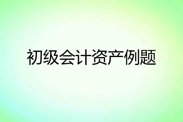 初级会计资产例题