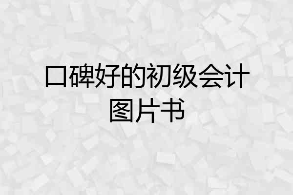 口碑好的初级会计图片书