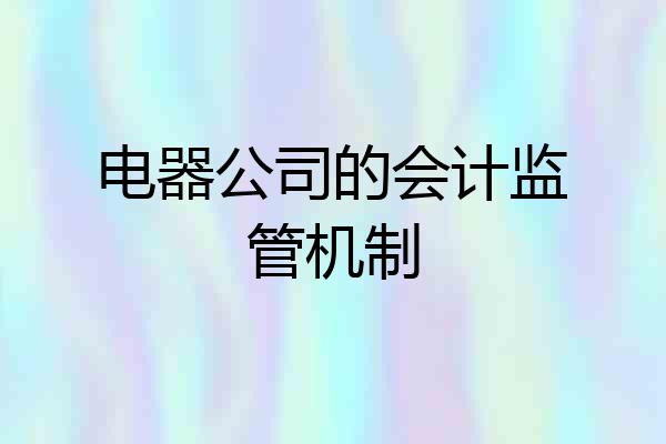 电器公司的会计监管机制