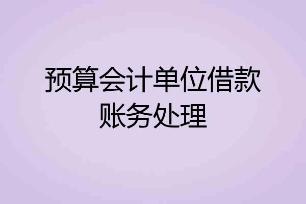预算会计单位借款账务处理