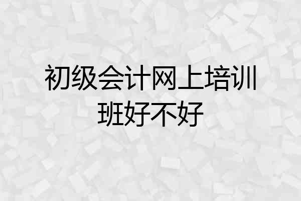 初级会计网上培训班好不好
