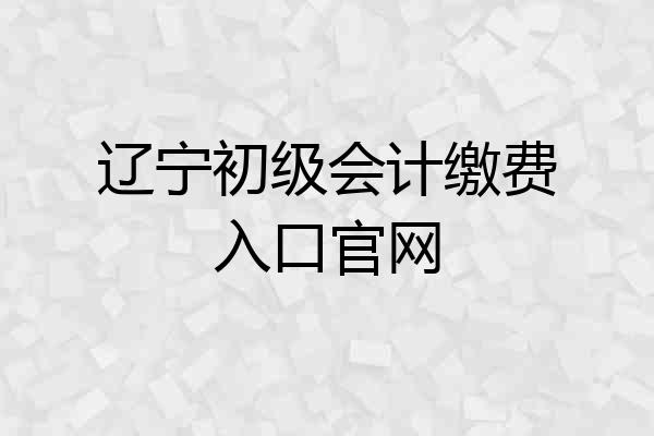 辽宁初级会计缴费入口官网
