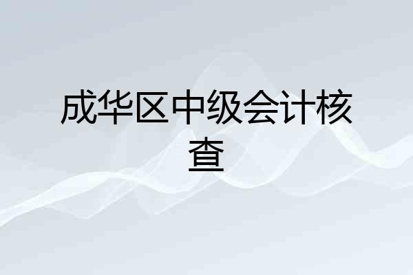 成华区中级会计核查