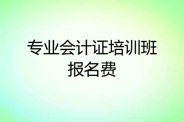 专业会计证培训班报名费