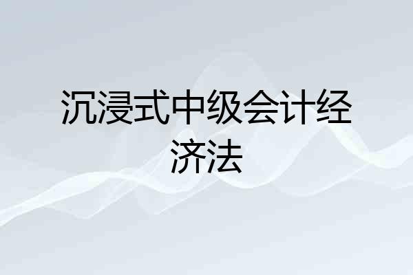 沉浸式中级会计经济法