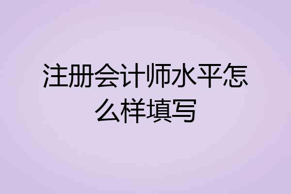注册会计师水平怎么样填写
