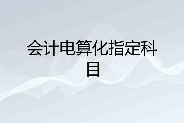 会计电算化指定科目