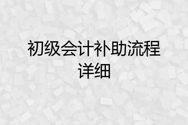 初级会计补助流程详细
