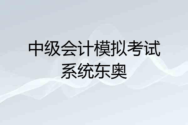 中级会计模拟考试系统东奥