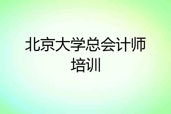 北京大学总会计师培训