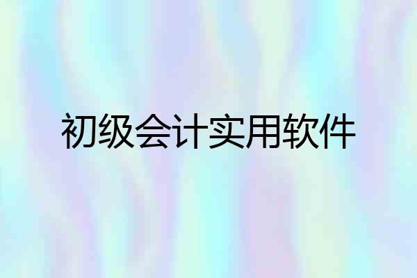 初级会计实用软件