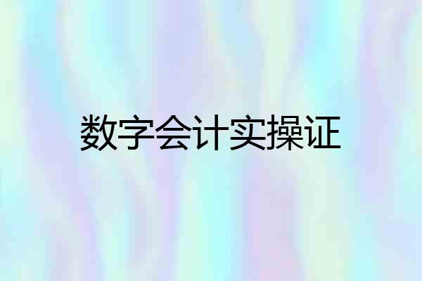 数字会计实操证