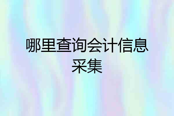哪里查询会计信息采集