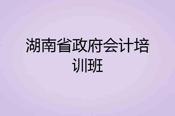 湖南省政府会计培训班