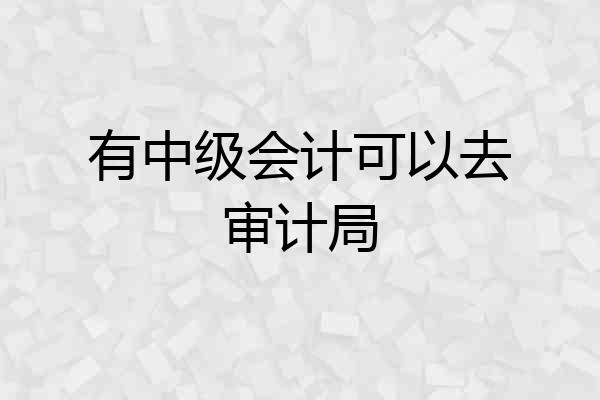 有中级会计可以去审计局