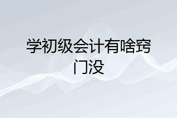 学初级会计有啥窍门没