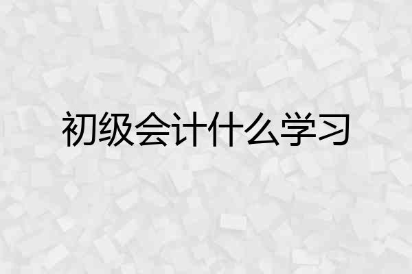 初级会计什么学习