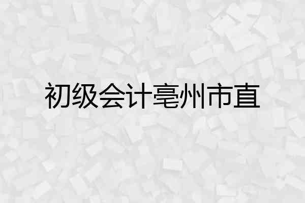 初级会计亳州市直