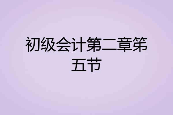 初级会计第二章笫五节