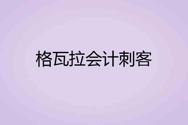 格瓦拉会计刺客