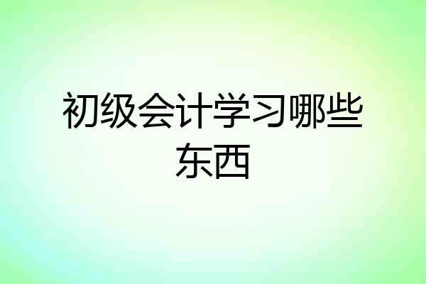 初级会计学习哪些东西