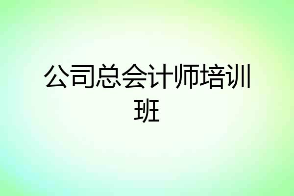 公司总会计师培训班