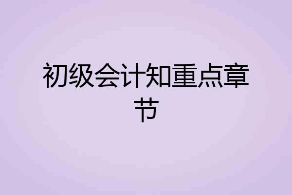 初级会计知重点章节