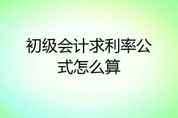 初级会计求利率公式怎么算