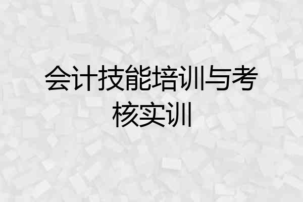 会计技能培训与考核实训