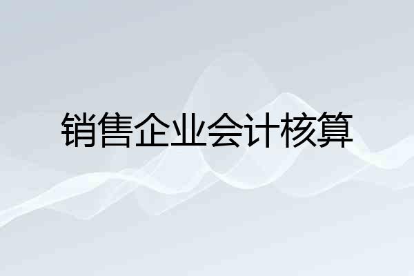 销售企业会计核算