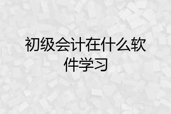 初级会计在什么软件学习