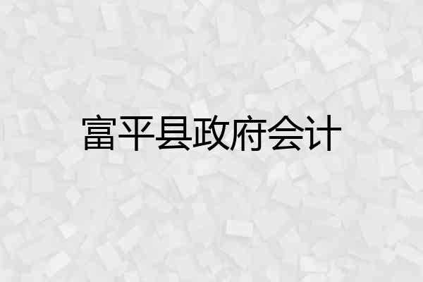 富平县政府会计