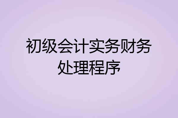 初级会计实务财务处理程序
