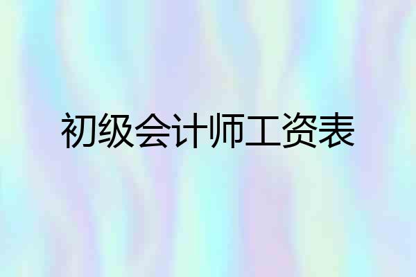 初级会计师工资表