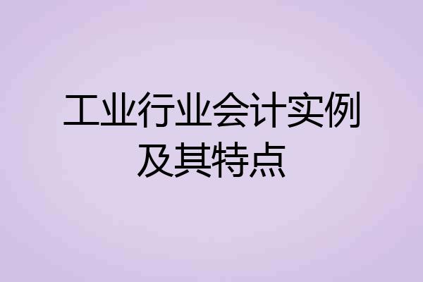 工业行业会计实例及其特点