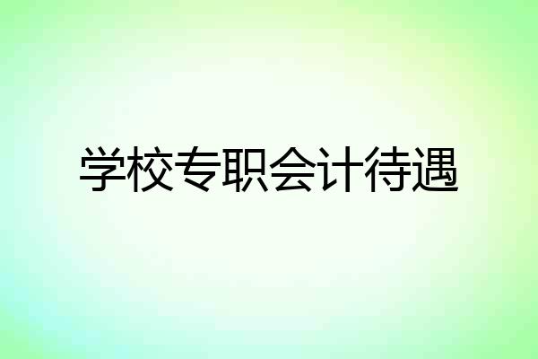 学校专职会计待遇