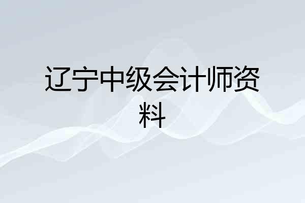 辽宁中级会计师资料