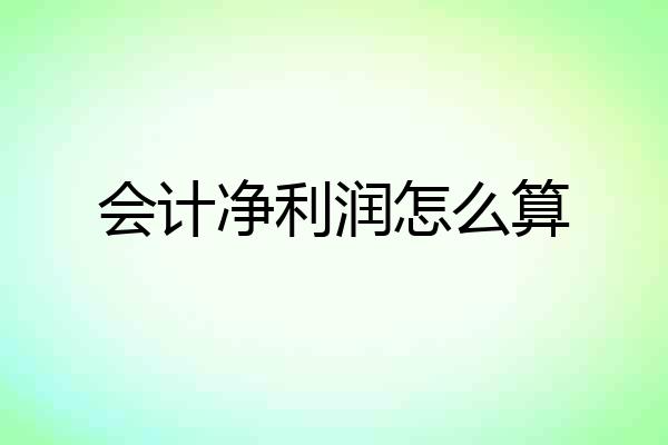 会计净利润怎么算
