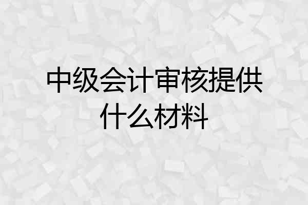 中级会计审核提供什么材料