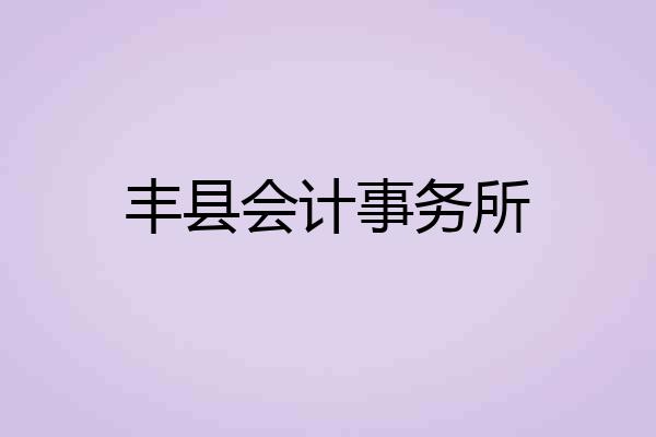 丰县会计事务所