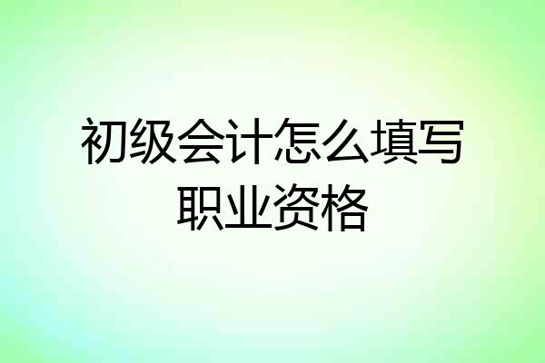 初级会计怎么填写职业资格