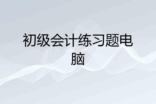 初级会计练习题电脑