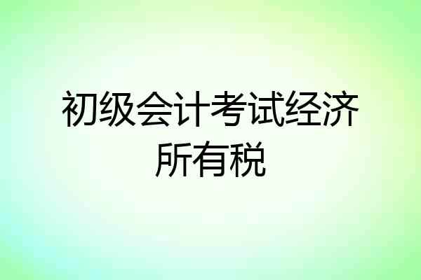 初级会计考试经济所有税