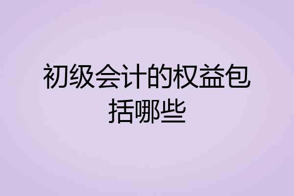 初级会计的权益包括哪些