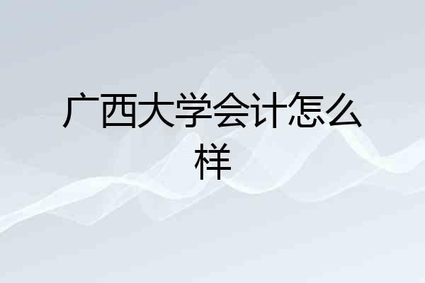 广西大学会计怎么样
