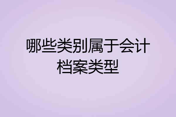 哪些类别属于会计档案类型
