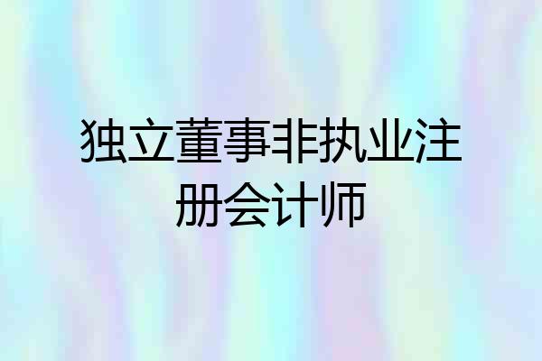 独立董事非执业注册会计师